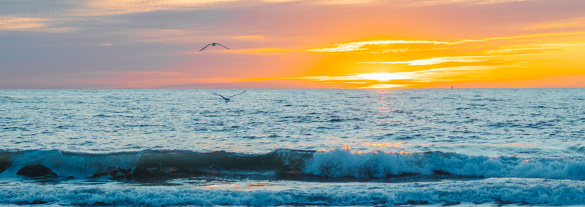 a bird flying over the ocean at sunset